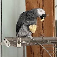 Victoria #WeLoveYouPrincessCatherine (@vsansome) 's Twitter Profile