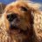 BabakGooda75481's profile image