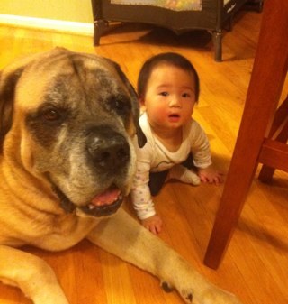 noclgq's profile picture. 