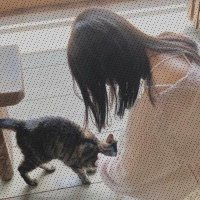 せきね (@sekine2066678) Twitter profile photo