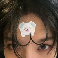 Sha ✨ (@jenopudding) 's Twitter Profile