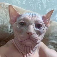 cuntor (@cuntor45) 's Twitter Profile