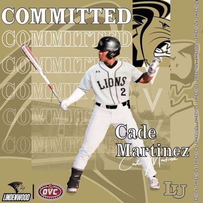DeSoto High School ‘25 | @LULIONSBASEBALL commit | (913) 449-0745