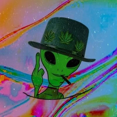 Shinchinchan1's profile picture. 