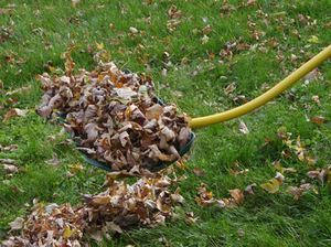 Pushrake's profile picture. The Pushrake allows you to more easily remove yard debris, nuts and fruits by pushing instead of pulling!