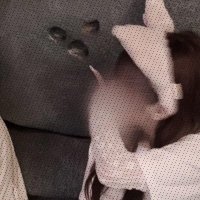 hiromu (@hiromu438118889) 's Twitter Profile