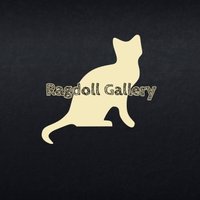 Ragdoll Gallery 💫 (@rgteamofficial) 's Twitter Profile Photo Ragdoll Gallery 💫 (@rgteamofficial) 's Twitter Profile Photo