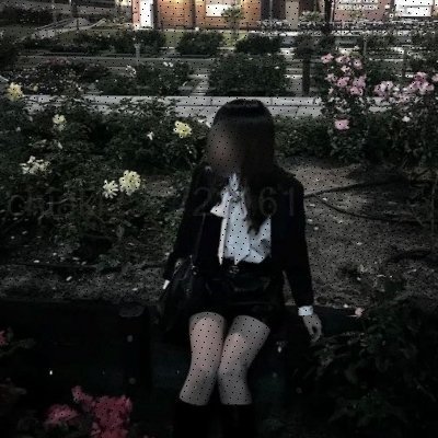 受験生 / おかずにされたい / きまぐれ / 仲良くしてください
🌴からみましょ https://t.co/B9Tu2E1UiB