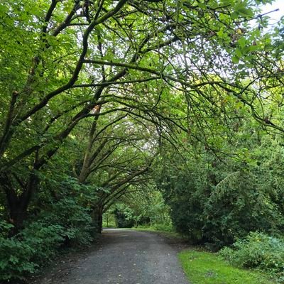 baharr1777's profile picture. 2+2=1