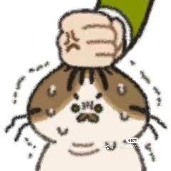 🧀yeeeeeeさんのプロフィール画像