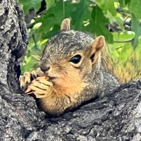 Debra D (@debrad17888013) 's Twitter Profile