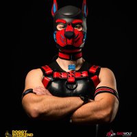 PupZyro (@pupzyro) 's Twitter Profile
