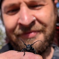 Wil J. Heeney 🤙🏳️🌈🪲🪰🕷🦇 (@theponker) 's Twitter Profile Photo Wil J. Heeney 🤙🏳️🌈🪲🪰🕷🦇 (@theponker) 's Twitter Profile Photo