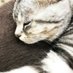 nico (@nicorn39) Twitter profile photo nico (@nicorn39) Twitter profile photo
