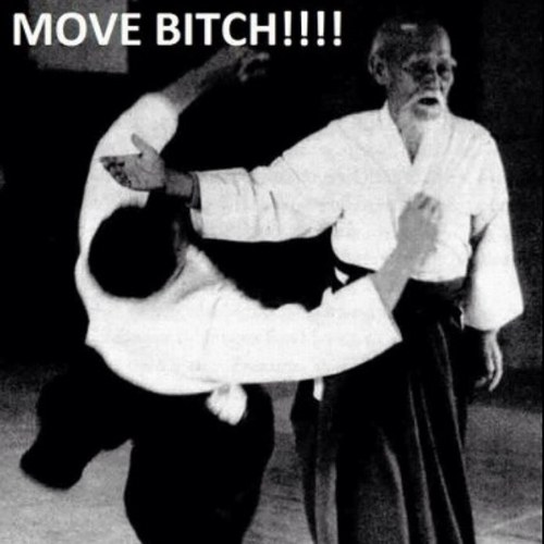 LGatoChino's profile picture. 