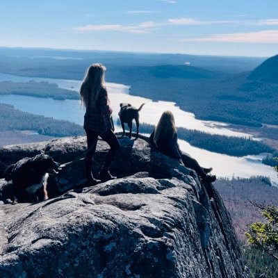 Homesteader🏡, Appalachian trail SOBO 2018 , veteran 🇺🇸 / 🐝 beekeeper