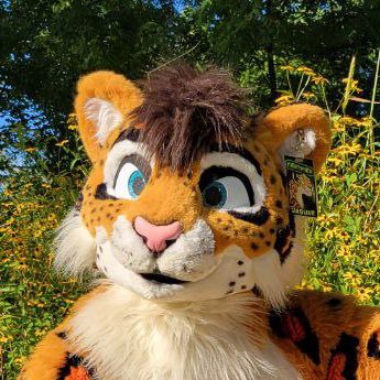 Magnificent & crepuscular. Marketing cat & 🏐 ref. ⛳️ power metal, fursuiting, Northwestern sports, jaguars, poker, liberal/socdem politics, chess, other stuff.