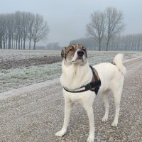 Moxiefnr (@moxie_fnr) 's Twitter Profile Photo