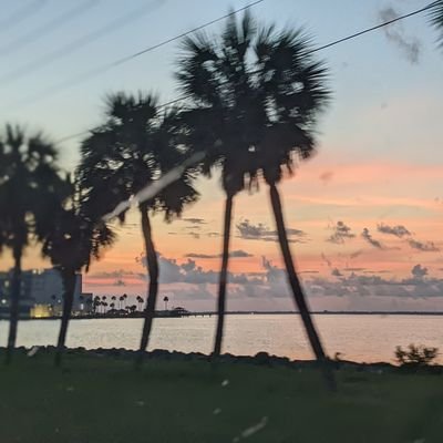 Stay_CocoaBeach's profile picture. Unapologetically American