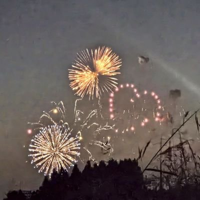 安心院ライさんのプロフィール画像