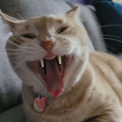 fraga_walter's profile picture. Software developer who loves guitar, the UFC & is a father