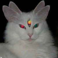 Meix_candoit! (@00000_alvil) 's Twitter Profile