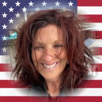 Paula DiVincenzo (@divincenzo) 's Twitter Profile