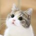 NA_ (@4i8p6r) Twitter profile photo NA_ (@4i8p6r) Twitter profile photo