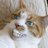 al_j_bill's profile image