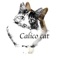 Calico cat・キャリコキャット✴︎7月5日(土)デザフェス (@nomumami00) 's Twitter Profile Photo Calico cat・キャリコキャット✴︎7月5日(土)デザフェス (@nomumami00) 's Twitter Profile Photo