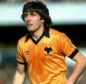 Long Suffering Wolves Supporter
