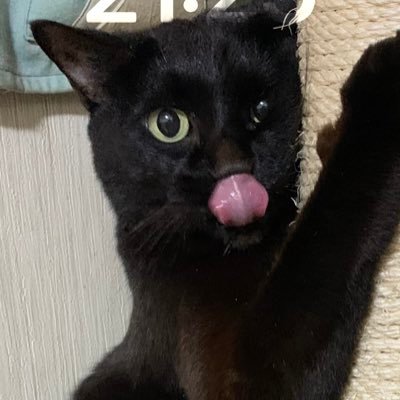 りてんさんのプロフィール画像