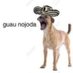 Costeño (@soylamondaaaaa) Twitter profile photo