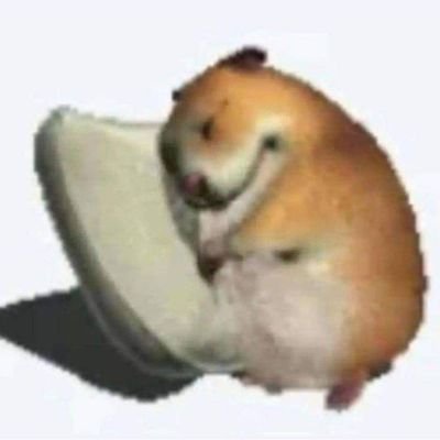 scarAlvarado17's profile picture. 