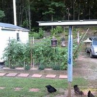 Tammy β€οΈNCπΆπ€ NoLists/NoDM's - Vote πππ (@tuckertbnc) 's Twitter Profile