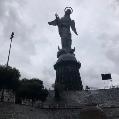 zhngxio42427845's profile picture. 