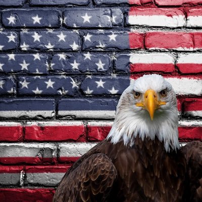 DrNat01's profile picture. Pediatrician, activist! Patriot 🇺🇸 #NotThrowingAwayMyShot #BuildBackBetter