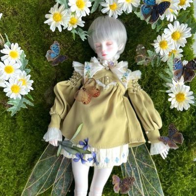 3n 호남권 성인/msd~75 BJD/인어, 요정, 귀족판타지 컨셉좋아합니다. 요즘 구현 준비중(플레이브, 천관사복, 내세남 키리시마,창백한말,히카루가죽은여름) 부계 jy(@ied41111)굿즈용 계정