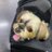 EqmlG6's profile image