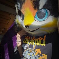 Ash (@quetly_a_fox) 's Twitter Profile Photo