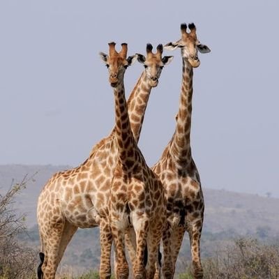 JacobOt90805129's profile picture. Social being