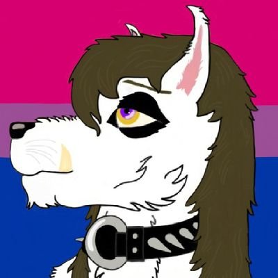 Jonathan7979666's profile picture. 26♎/bisexual♂️/single, not looking 💔.... love's wolves and nature ♥️🇺🇲🌈