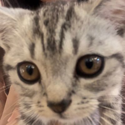 quarioxy's profile picture. 