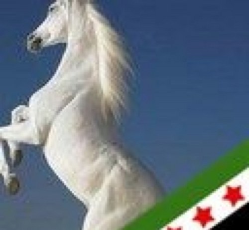 DIGNITY_bah's profile picture. .مقاطع مخضرم منذ فبراير ٢٠١١حين غدروا بالبحرين..وطنيتي لاتقبل القسمة على اثنين..احترم الصدق والمبادئ والنزاهة،اعشق الجمال،اكره الكذب والخيانة