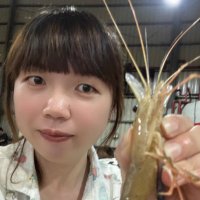 熊本熊 (@jameslilih) 's Twitter Profile Photo 熊本熊 (@jameslilih) 's Twitter Profile Photo
