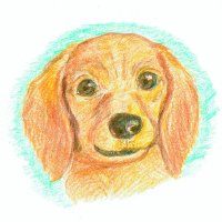 幸せじじ (@grandpa_paradis) 's Twitter Profile