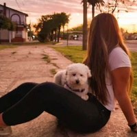 π₯β΄πΆ πππ·β΄ππβ΄ππ πΊ (@joaalbornoz1) 's Twitter Profile