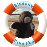 Moley𝕋𝕙𝕖𝕄𝕠𝕝𝕖😷 (@moleymole01) 's Twitter Profile