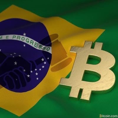 Criptomoed29231's profile picture. 
