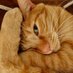 oyen (@videoyen) Twitter profile photo oyen (@videoyen) Twitter profile photo